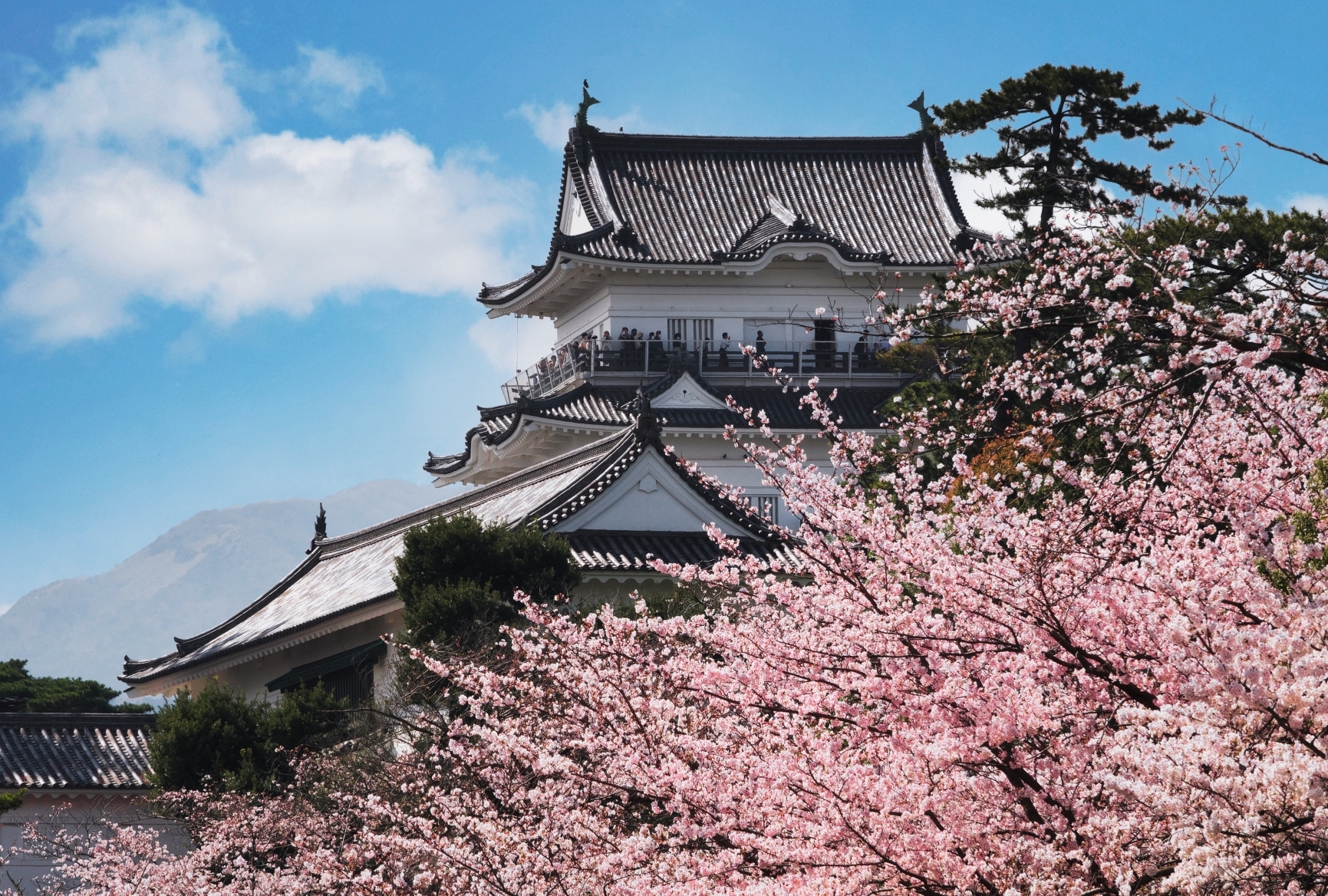 Public transportation tour